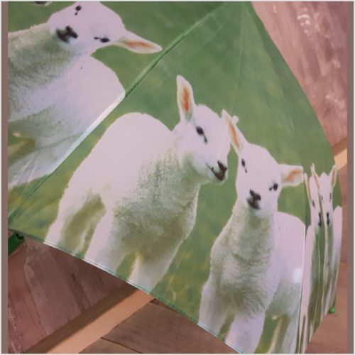 Kinder paraplu lammetjes in de wei van Esschert design