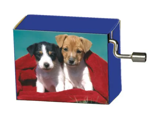 Speeldoosje dieren puppys melodie Old McDonald