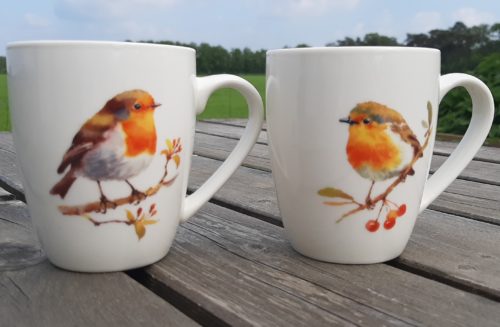 Mokkenset roodborstje